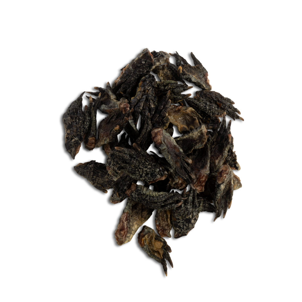 ChewBlue - Croc Crunch