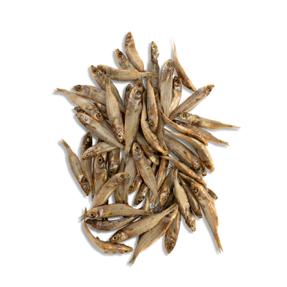 ChewBlue - Hardy Heads