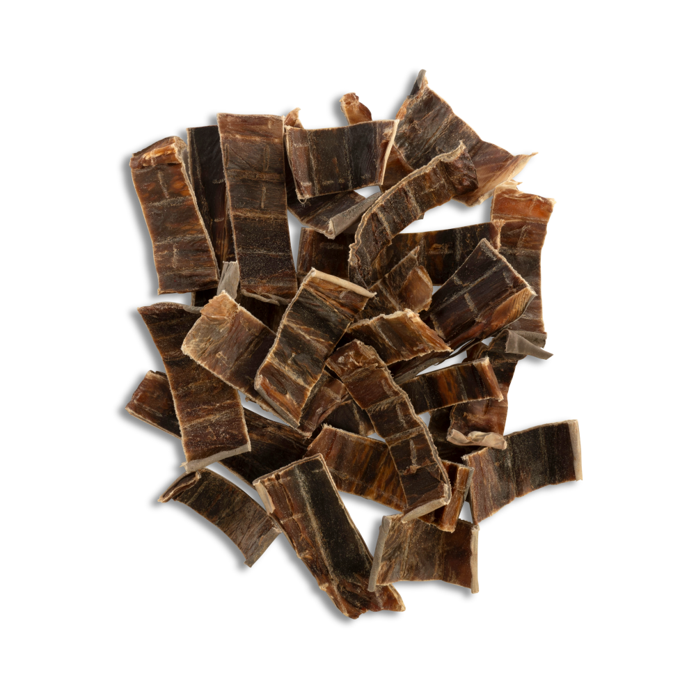 ChewBlue - Shark Bark