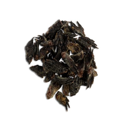 ChewBlue - Croc Crunch